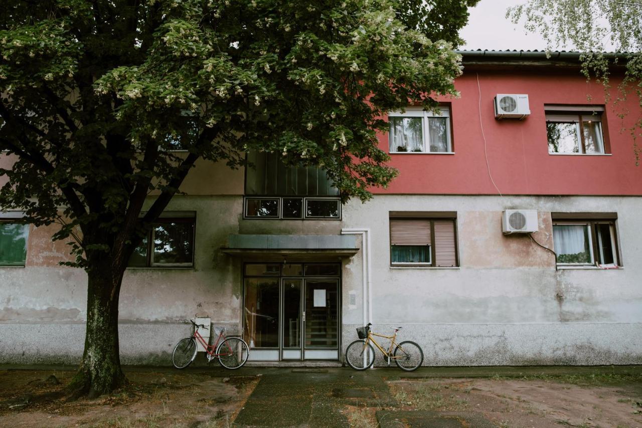 Apartman Buba 팔릭 외부 사진